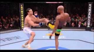 UFC HIGHLIGHTS 2014  I LOVE UFC  MIXED MARTIAL ARTS  BY COQUYT SÉBASTIEN [upl. by Yesac244]