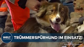 KRÖV Rettung in letzter Sekunde Dieser Spürhund hilft Menschen aus den Trümmern zu bergen [upl. by Elly]