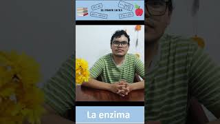 La enzima ciencia enzimas bioquímica [upl. by Asoj]