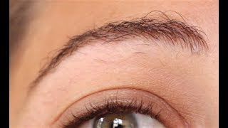 Bilan repousse sourcils après 5 mois  ✨ Marion Blush [upl. by Massey]