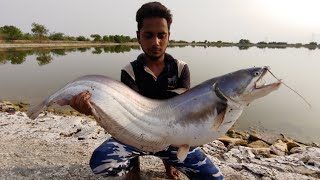 Incredible Wallago MonsterPatan fish catch [upl. by Xylia]