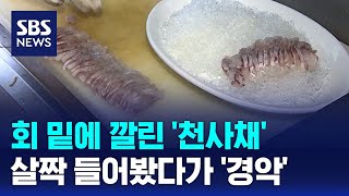 회 밑에 깔린 천사채살짝 들어봤다가 경악  SBS  오클릭 [upl. by Job506]