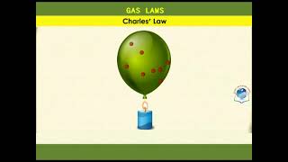 Gas Laws [upl. by Neruat]