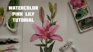 Pink lily watercolor tutorial [upl. by Naynek852]