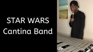 STAR WARS Cantina Band Cover [upl. by Naget263]