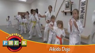 Aikido Dojo  Virtual Field Trip  KidVision PreK [upl. by Ernesto703]