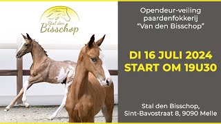 Van den Bisschop auction 2024 [upl. by Sliwa]