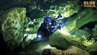 Florida Cave Diving  JONATHAN BIRDS BLUE WORLD [upl. by Desmund113]