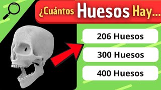 ¿Cuánto Conoces del quotCUERPO HUMANOquot 🤓🤔 Test sobre el cuerpo humano ⬅️ [upl. by Yerfoeg777]