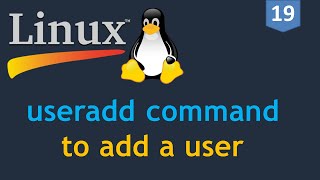 19  Linux for DevOps  Creating a User  useradd command  How to add a user on Linux [upl. by Stock73]