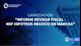 Capacitación Informe Revisor Fiscal – NIIF Hipótesis Negocio en Marcha [upl. by Arot92]