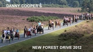 Danny Coopers New Forest Horse and Pony Drive filmed by Malcolm Dent [upl. by Barnie]