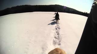 Ecurie des 4 Lacs3 jours de randonnée à cheval dans le Jura [upl. by Eniahpets]