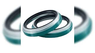 Exploring the Impact of Oil Seals Across Industries [upl. by Jamal]