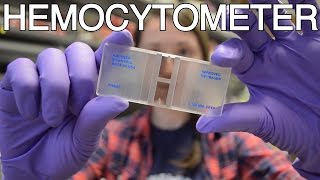 Hemocytometer  What is this thing [upl. by Aitram]