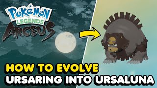 How To Evolve Ursaring Into Ursaluna In Pokemon Legends Arceus [upl. by Godspeed38]