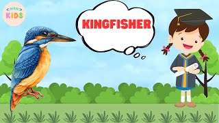 Kingfisher Facts For Kids 😊 Learn All About Kingfishers  MON Kids [upl. by Artimed]