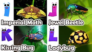 Abc Insect Song  A to Z Insects Song  Insects Alphabet song  Phonics for Kids [upl. by Christabelle471]