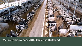 Met nieuwbouw naar 2000 koeien in Duitsland [upl. by Beckerman]