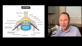 Beyond the Interscalene Ultrasound Guided Identification of the C6 Nerve Root and Vertebral Artery [upl. by Cissej92]