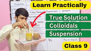 Difference between True Solution Colloidal Solution And Suspension  Class 9 Science [upl. by Airot]