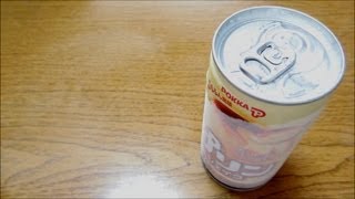 冷凍 缶入 飲むプリン Pudding drink cans tried frozen soft drink juice [upl. by Seuguh429]