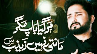 21 Ramzan Shahadat Imam Ali  Mar Gaya Baap Magar Manti Nahi Zainab  Syed Raza Abbas Zaidi  Noha [upl. by Emanuel]