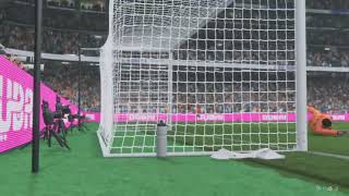 Flip goal [upl. by Delastre]