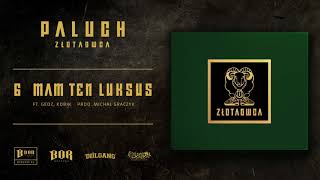 Paluch quotMam ten luksusquot ft Gedz Kobik prod Michał Graczyk [upl. by Anilad]