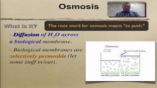 Chapter 7 Part 11  Passive Transport [upl. by Karie]