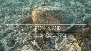 Heron Island  Great Barrier Reef in Australia Seven Natural Wonders of the World [upl. by Ecinahc]