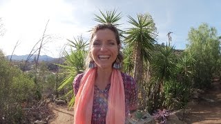 WWOOF Experience In California [upl. by Aila]