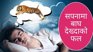 सपनामा बाघ देख्दाको फल tiger in dream sapana ko fal [upl. by Lucio753]