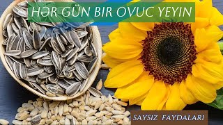 SEVƏSEVƏ YEDİYMİZ GÜNƏBAXAN TUMUNUN EŞİTMƏDİYİNİZ SİRRLƏRİ [upl. by Faletti232]