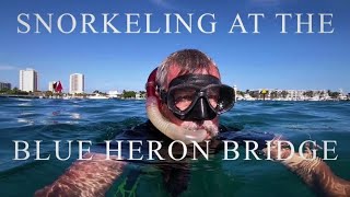 Snorkeling at the Blue Heron Bridge [upl. by Lichtenfeld]