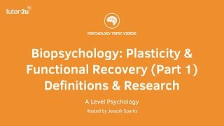 Revision Webinar Biopsychology – Plasticity amp Functional Recovery Part 1 Definitions amp Research [upl. by Airetal]