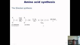 Chapter 23 – Protein Chemistry Part 3 of 4 [upl. by Hanaj]