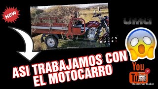 Así es como trabajamos con el MOTOCARRO VELOCI 300😎😎🏍️🧑‍🌾 [upl. by Rabelais]