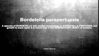 Medical vocabulary What does Bordetella parapertussis mean [upl. by Eicyac]