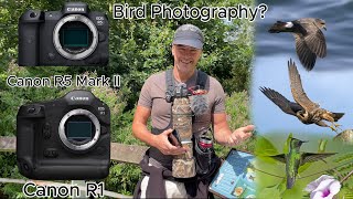 Canon R1 amp Canon R5 Mark II Should You BuyUpgrade for Bird Photography My Thoughts [upl. by Guillema]