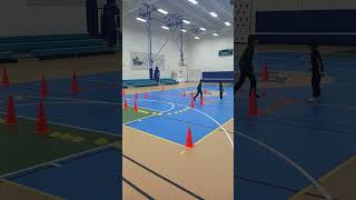 Fun PE game What skills do you think this game teaches students pegames physed eğitseloyun [upl. by Arbed159]