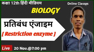 प्रतिबंध एंजाइम Restriction enzyme Class 12 Biology plsirchitrangi [upl. by Ynelram89]