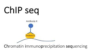 ChIP seq  Chromatin Immunoprecipitation sequencing [upl. by Sower]