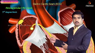 ECG Waves Electrocardiogram  EKG Basics  Waves Segments and Intervals  Cardiac Physiology [upl. by Salene]