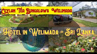 ✅ 🌞 🌈 👌 Ceylon Tea Bungalows Welimada Sri Lanka  Spend Your Vacation with all inclusive [upl. by Mauchi]