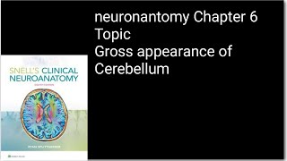 Introduction to cerebellumGross appearance of CerebellumNeuroanatomymedical lectures [upl. by Trever]