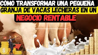 Cómo Transformar una Pequeña Granja de Vacas Lecheras en un Negocio Rentable [upl. by Ssepmet]