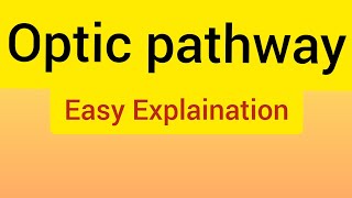 Optic Pathway Made Easy For Fcps Part 1JCAT [upl. by Dominus]