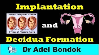 Implantation of the Blastocyst Dr Adel Bondok [upl. by Eloci262]