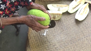 Village Food  Cooking Breadfruit Curry in my Village by Grandma [upl. by Fayina821]